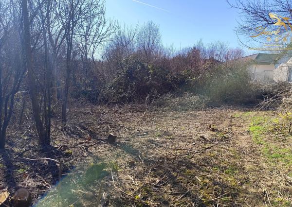 Stavebný pozemok so starším domom a predaj 