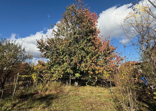 ZAHRADA 700 m2 _  Mladá Garda