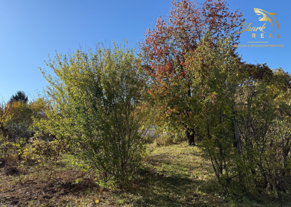 ZAHRADA 700 m2 _  Mladá Garda