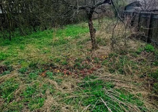 Dva rodinné domy na predaj v centre Žarnovice