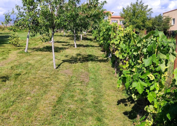 Útulný dom s úžitkovou záhradou v krásnej prírode