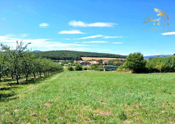 Stavebný pozemok v obci Veľká Tŕňa (Tokajská oblasť)