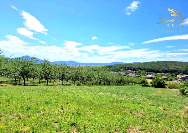 Stavebný pozemok v obci Veľká Tŕňa (Tokajská oblasť)