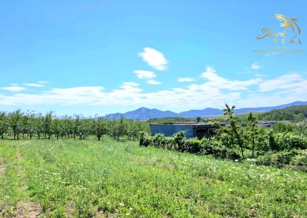 Stavebný pozemok v obci Veľká Tŕňa (Tokajská oblasť)