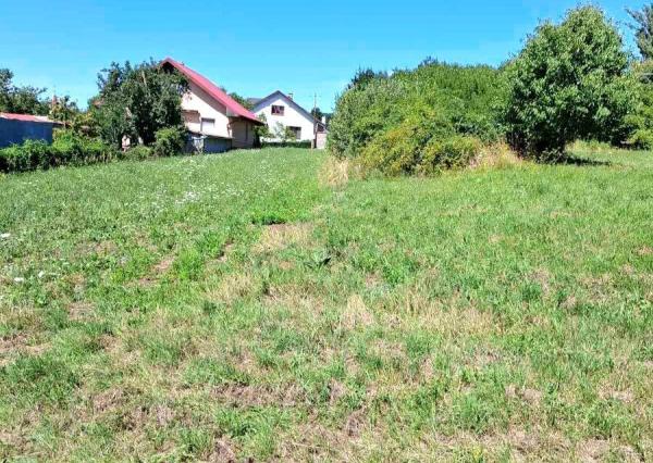 Stavebný pozemok v obci Veľká Tŕňa (Tokajská oblasť)