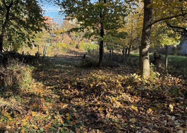 ZÁHRADA 776 m2 _ Predaj _ Suchá nad Parnou