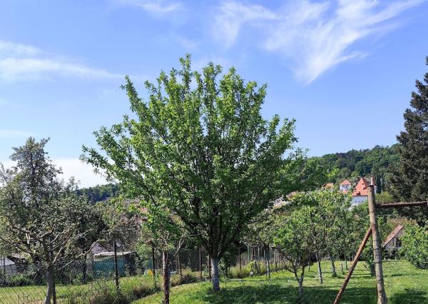 Slnečný pozemok s panoramatickým výhľadom