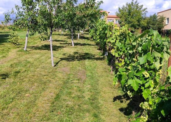 Slnečný pozemok s panoramatickým výhľadom