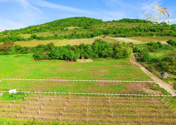 ZÁHRADA 500m2_ Predaj