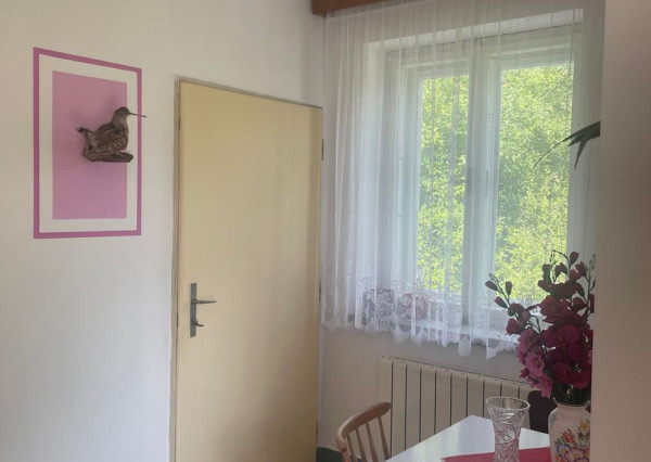 Starší rodinny dom v malebnej obci v Starej Myjave 