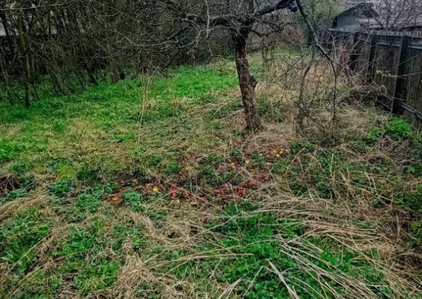Dva rodinné domy na predaj v centre Žarnovice