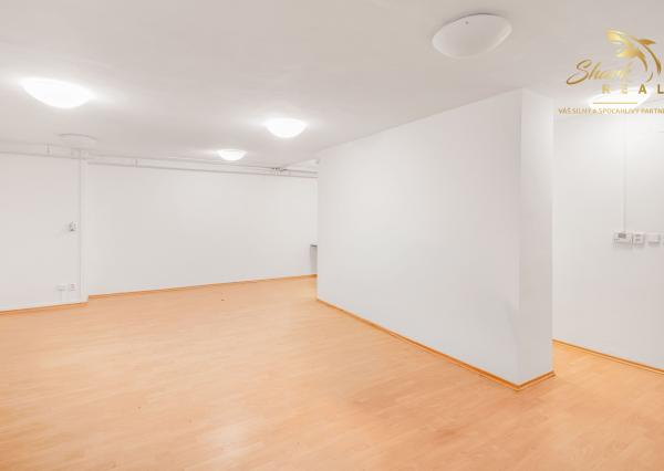 334 m² nezariadených možností | Garáž, 6 izieb, terasa | Staré Mesto, Bratislava