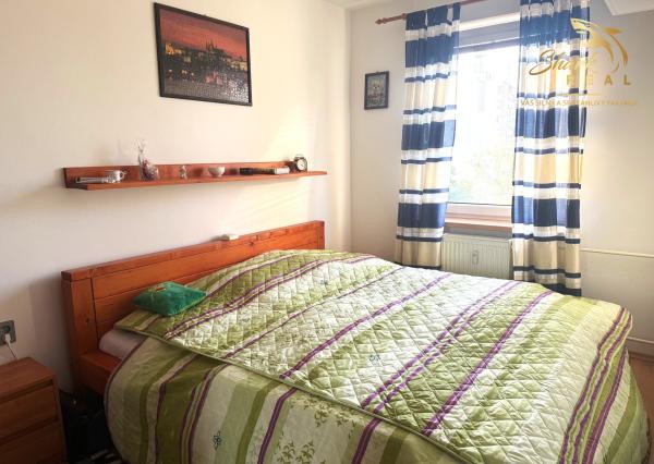 TEHLOVÝ DOM _ 3i byt PREDAJ _ 67 m2 _ centrum Senca