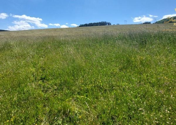 EXKLUZÍVNE: Na predaj DEVELOPERSKÉ ÚZEMIE 11,6HA pri Prešove