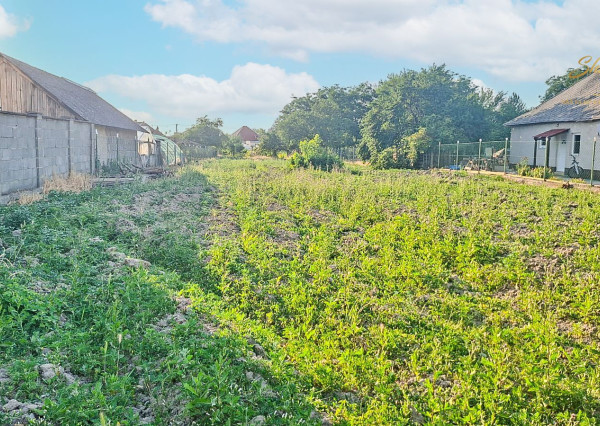 Investičný stavebný pozemok v obci Marcelová (1 446 m²)
