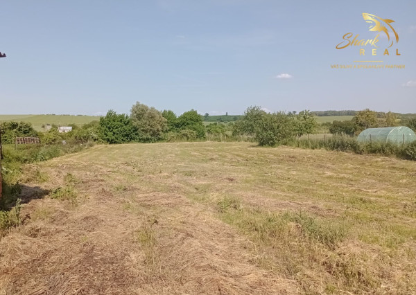 Na predaj RD s veľkým pozemkom v Kapinciach