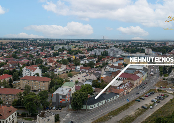 NA PREDAJ - Exkluzívne - Reštaurácia s terasou, barom a apartmánom.