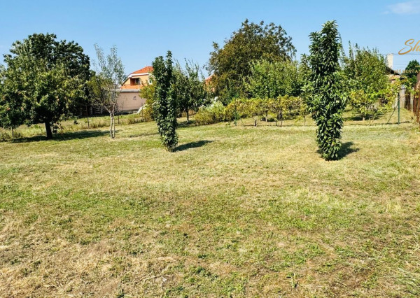 Na predaj 4-izbový vidiecky dom v obci Branč