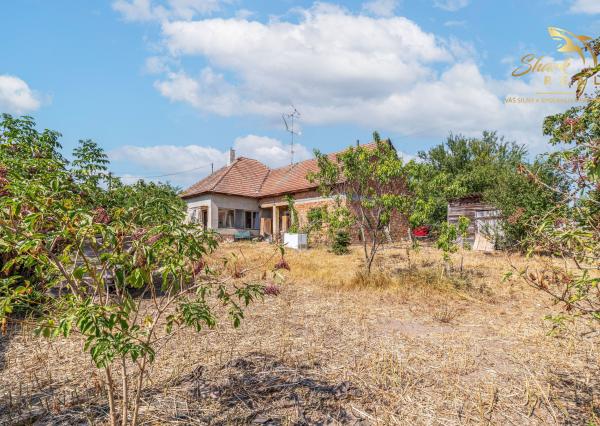 Vidiecky dom s veľkým pozemkom a zdravou konštrukciou - Čechy