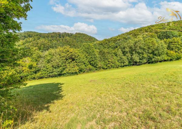 Únik do prírody len pár minút od Trenčína - pozemok 3 780 m²