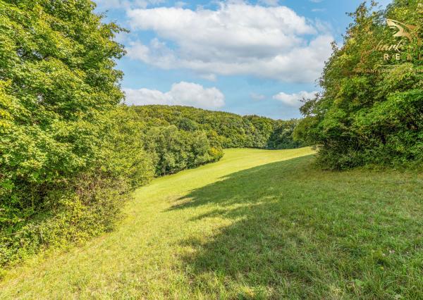 Únik do prírody len pár minút od Trenčína - pozemok 3 780 m²