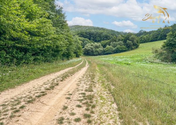 Únik do prírody len pár minút od Trenčína - pozemok 3 780 m²