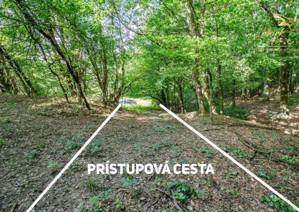 Únik do prírody len pár minút od Trenčína - pozemok 3 780 m²