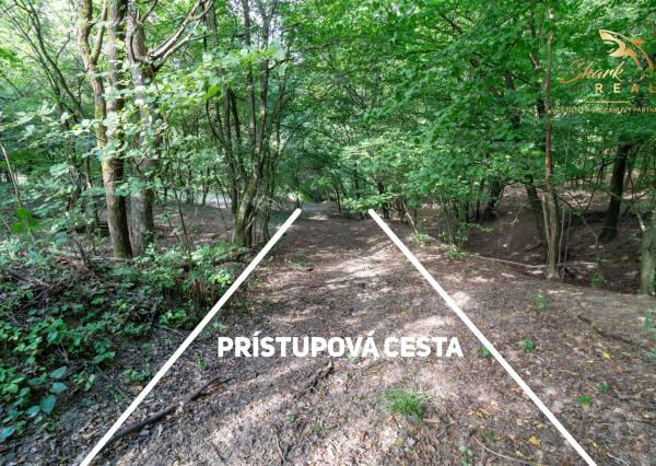 Únik do prírody len pár minút od Trenčína - pozemok 3 780 m²