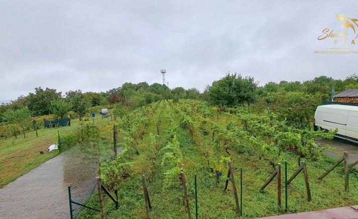 JEDINEČNÁ PONUKA! Rekreačná celoročne obývateľná chata/dom na predaj - fotografia 25