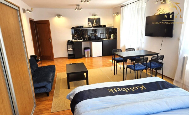 HORSKÝ PARK  _ Prestížna zóna pre úspešných _ Apartmán - fotografia 1