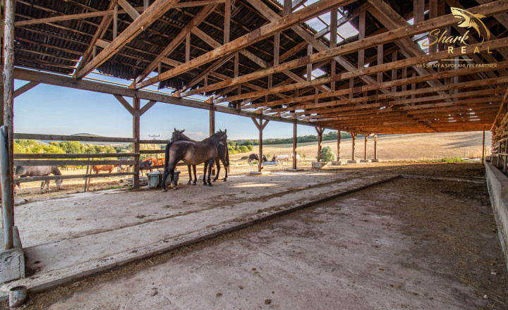 KÚSOK SLOVENSKA PRE VÁŠ FARMÁRSKY SEN – 27 HA, PODKYLAVA - fotografia 2