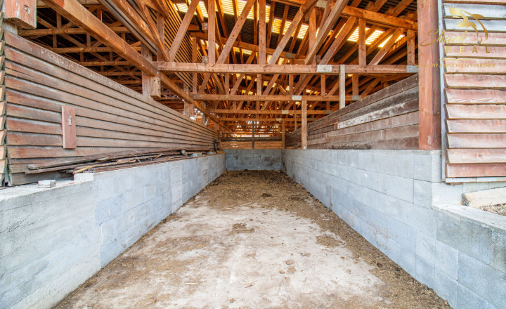 KÚSOK SLOVENSKA PRE VÁŠ FARMÁRSKY SEN – 27 HA, PODKYLAVA - fotografia 4