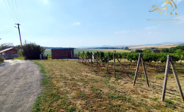 Slnečný pozemok s viničom a nádherným výhľadom - fotografia 7