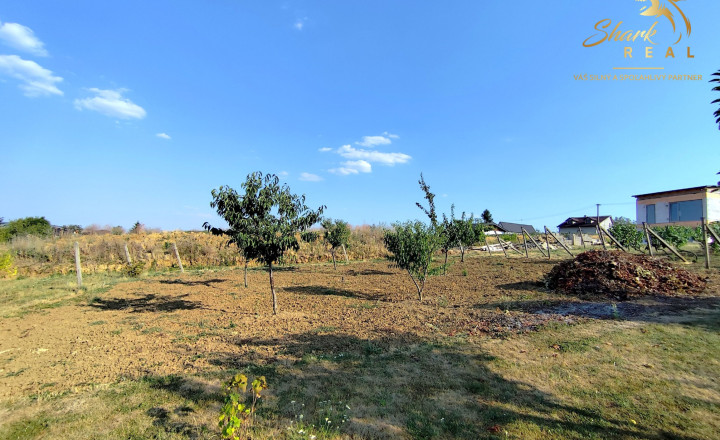 Slnečný pozemok s viničom a nádherným výhľadom - fotografia 9
