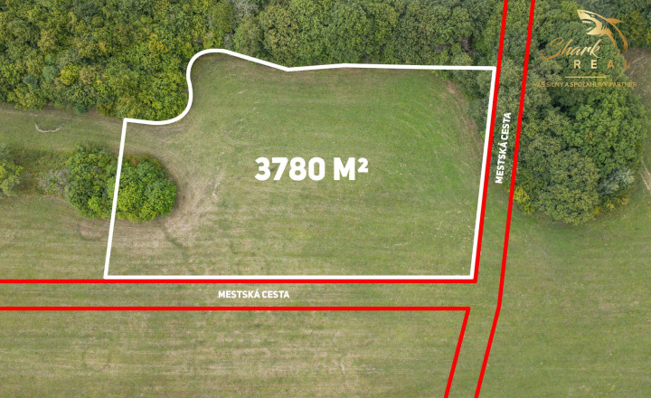 Únik do prírody len pár minút od Trenčína - pozemok 3 780 m² - fotografia 2