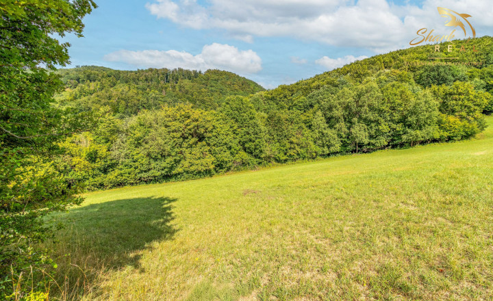 Únik do prírody len pár minút od Trenčína - pozemok 3 780 m² - fotografia 3