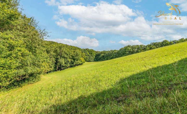 Únik do prírody len pár minút od Trenčína - pozemok 3 780 m² - fotografia 5