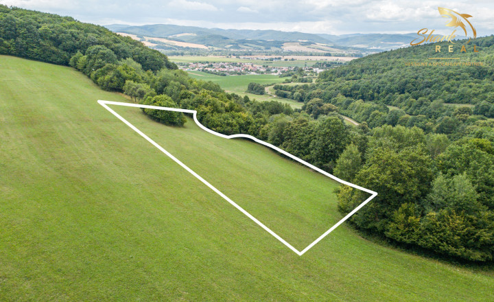 Únik do prírody len pár minút od Trenčína - pozemok 3 780 m² - fotografia 6