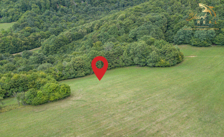Únik do prírody len pár minút od Trenčína - pozemok 3 780 m² - fotografia 8