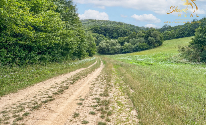 Únik do prírody len pár minút od Trenčína - pozemok 3 780 m² - fotografia 10