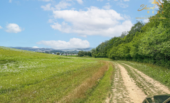 Únik do prírody len pár minút od Trenčína - pozemok 3 780 m² - fotografia 11