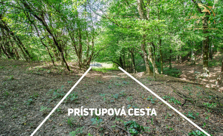 Únik do prírody len pár minút od Trenčína - pozemok 3 780 m² - fotografia 13