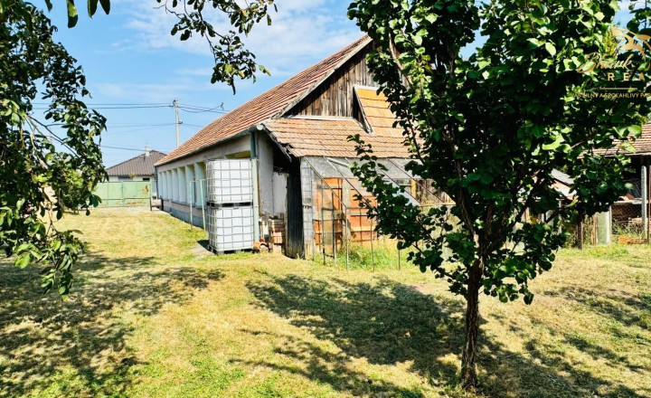 Na predaj 4-izbový vidiecky dom v obci Branč s možnou dohodou na cene - fotografia 3