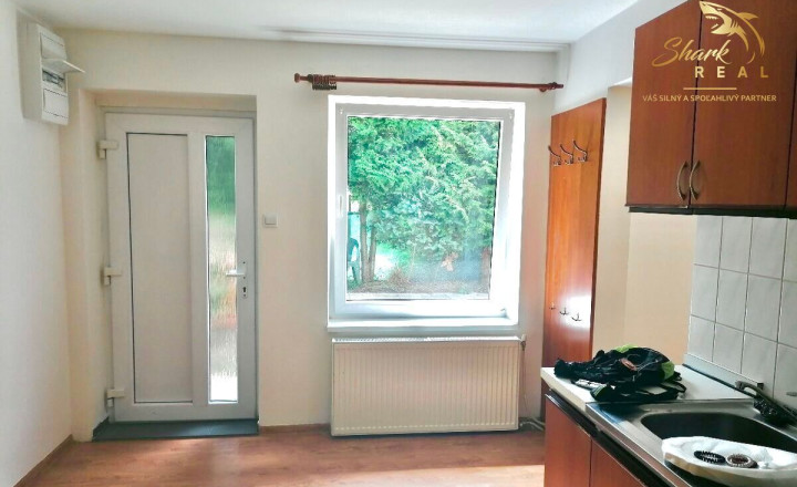 Na prenájom 1-izbový byt s krbom a súkromným dvorom pri Trenčíne - fotografia 1