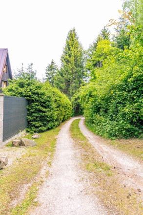 Rozprávkový pozemok obklopený lesom  - Duchonka - fotografia 12