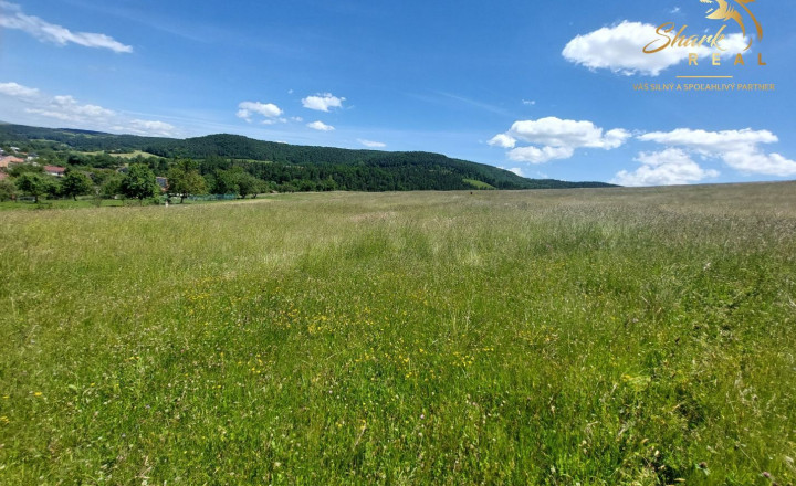 EXKLUZÍVNE: Na predaj DEVELOPERSKÉ ÚZEMIE 11,6HA pri Prešove - fotografia 5