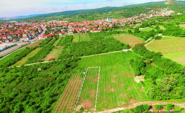 ZÁHRADA 500m2_ Predaj - fotografia 1