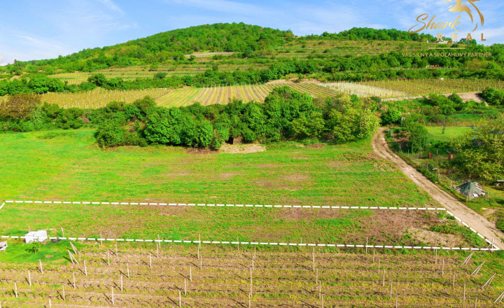 ZÁHRADA 500m2_ Predaj - fotografia 3
