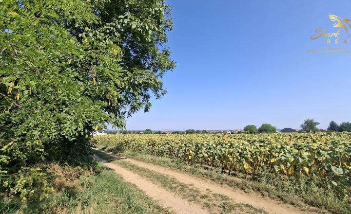 Pozemok na výstavbu rodinného domu - fotografia 2