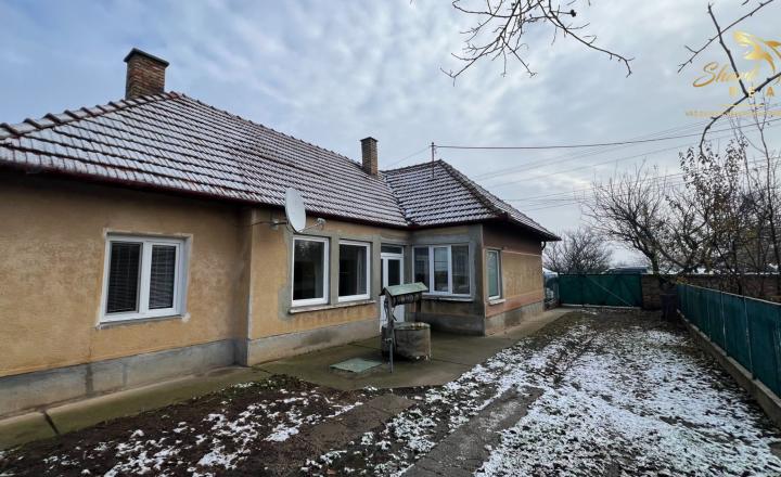 Rodinný dom s 20á pozemkom v obci Semerovo - fotografia 9